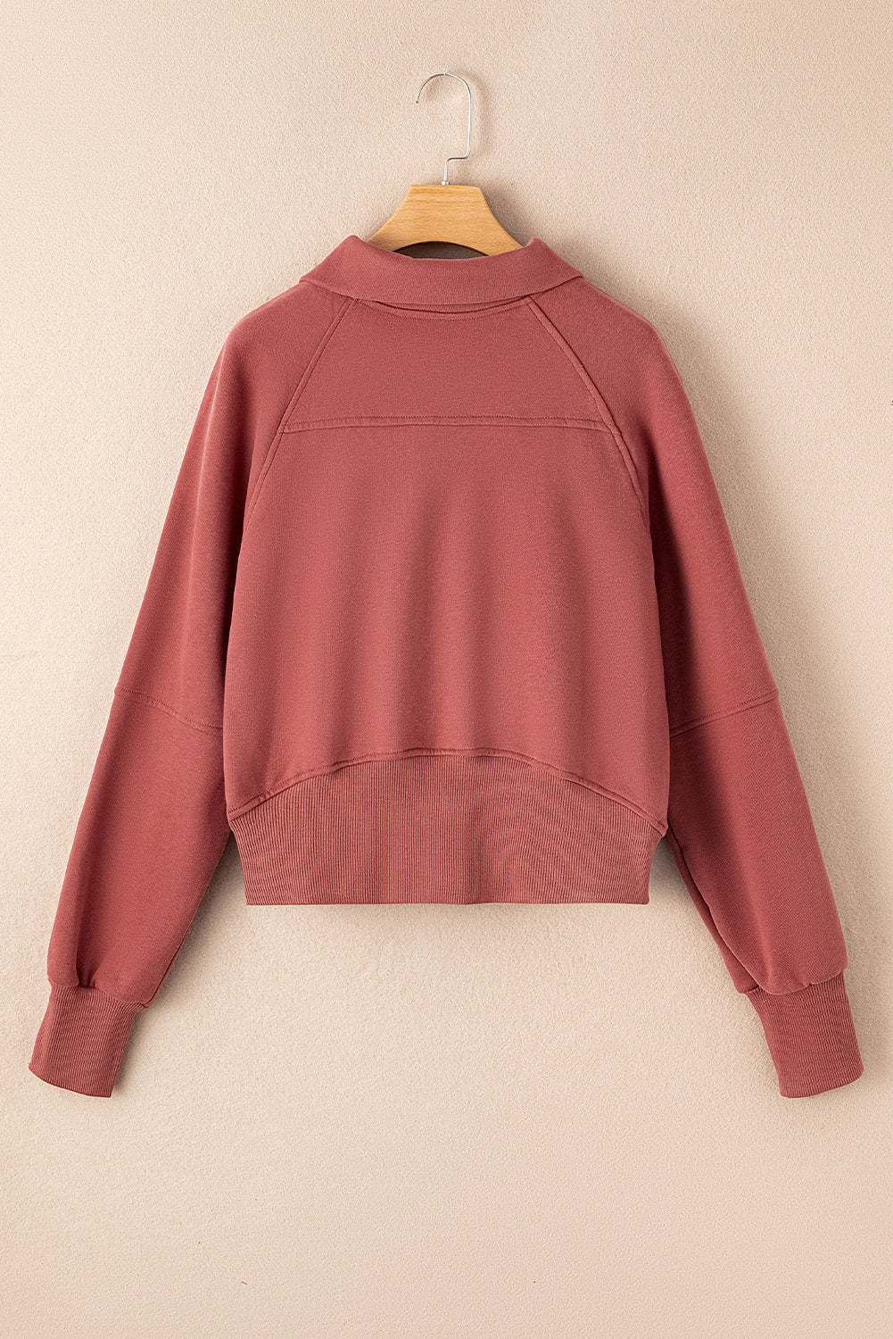 Zip Up Collar Sweatshirt (online only)