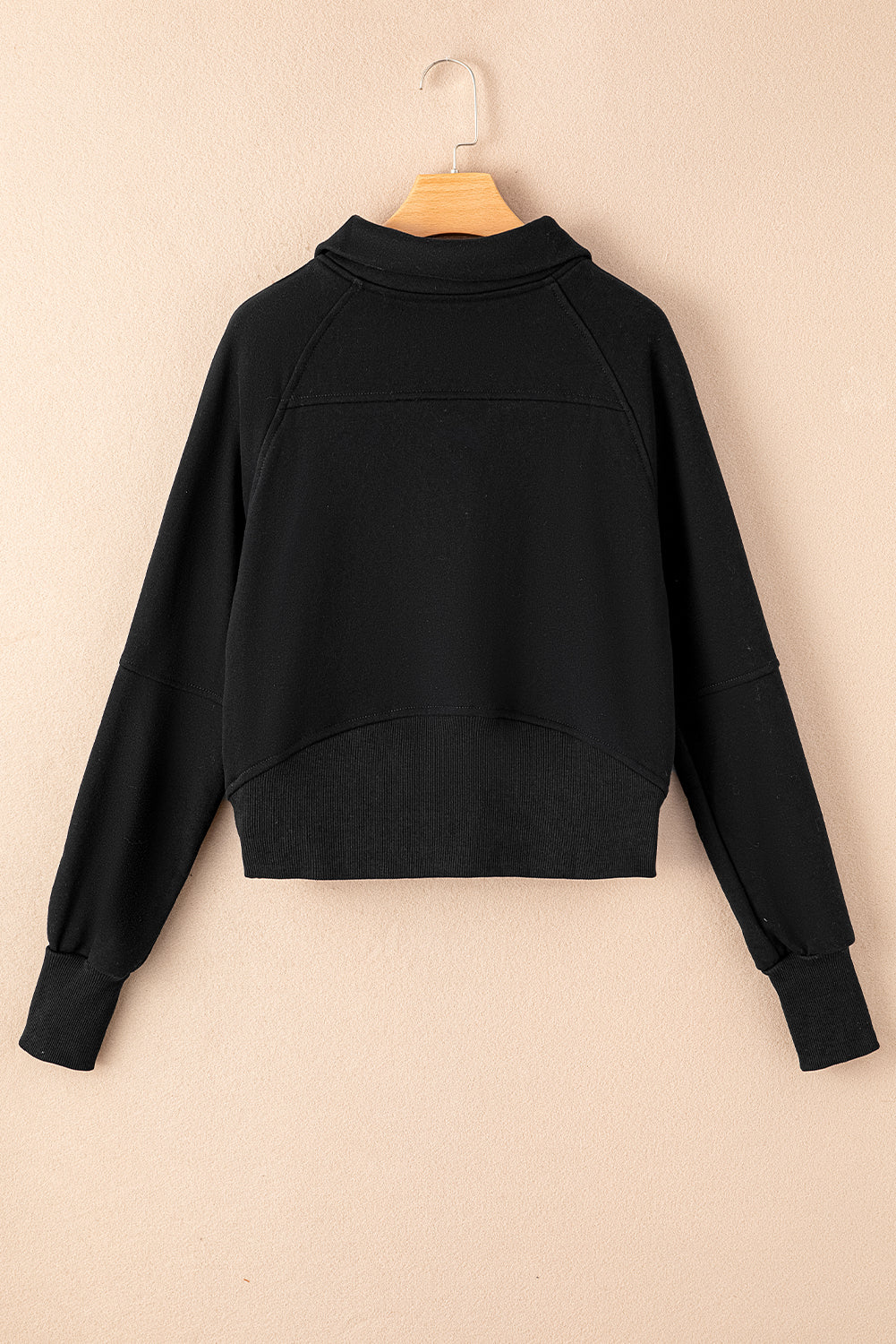 Zip Up Collar Sweatshirt (online only)