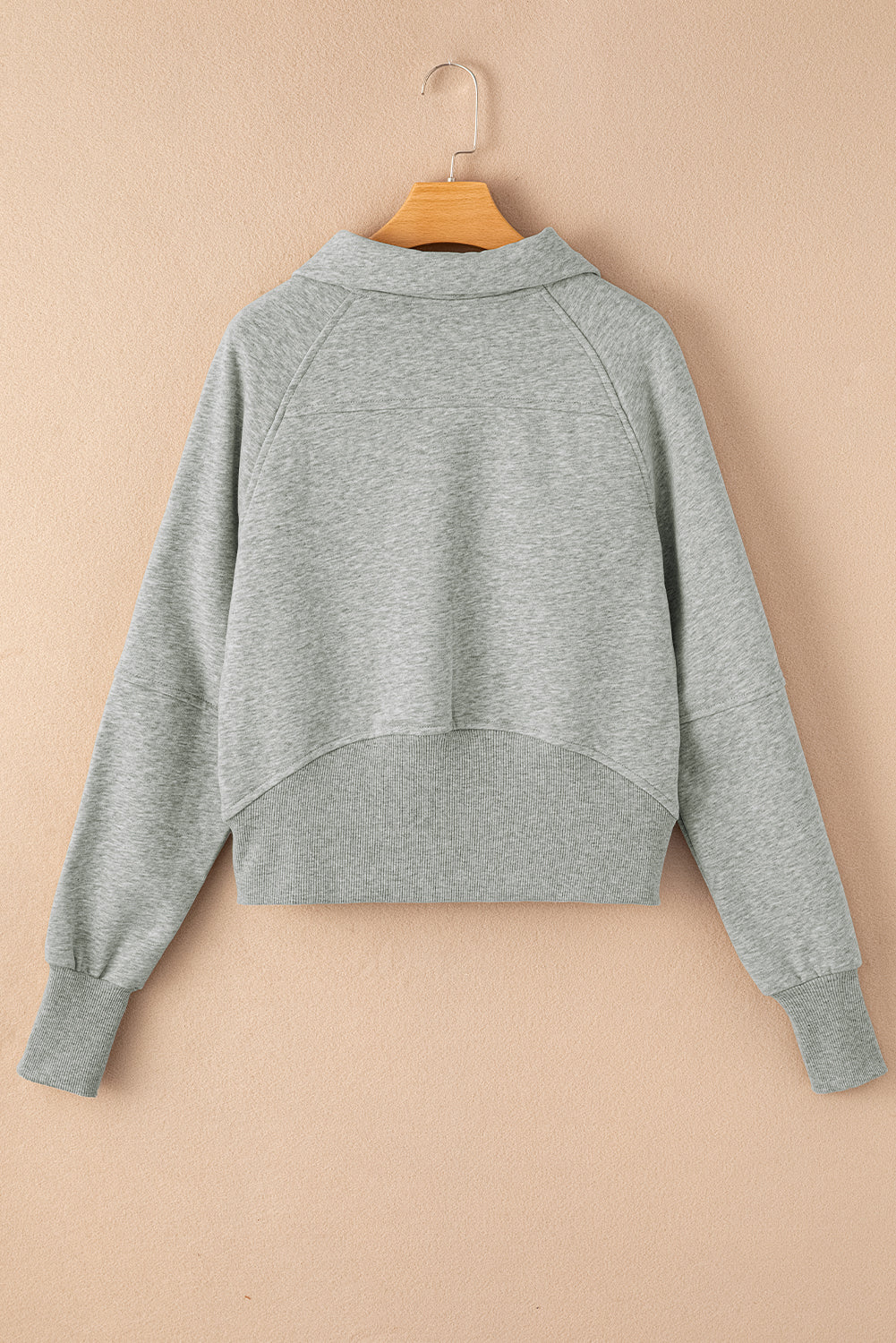 Zip Up Collar Sweatshirt (online only)